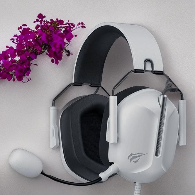 HAVİT GAMENOTE H2033D Mikrofonlu 50mm Speaker Gaming Kulaklık 3.5mm Jack