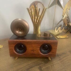 Nostaljik Görünümlü Müzik Kutusu Bluetooth Usb-sd Kart Aux Girişli Radyolu Müzik Sistemi Mp3 Çalar