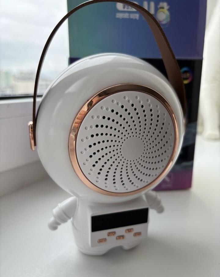 Astronot 2 Mikrofonlu Karaoke Makinesi - Görsel 12